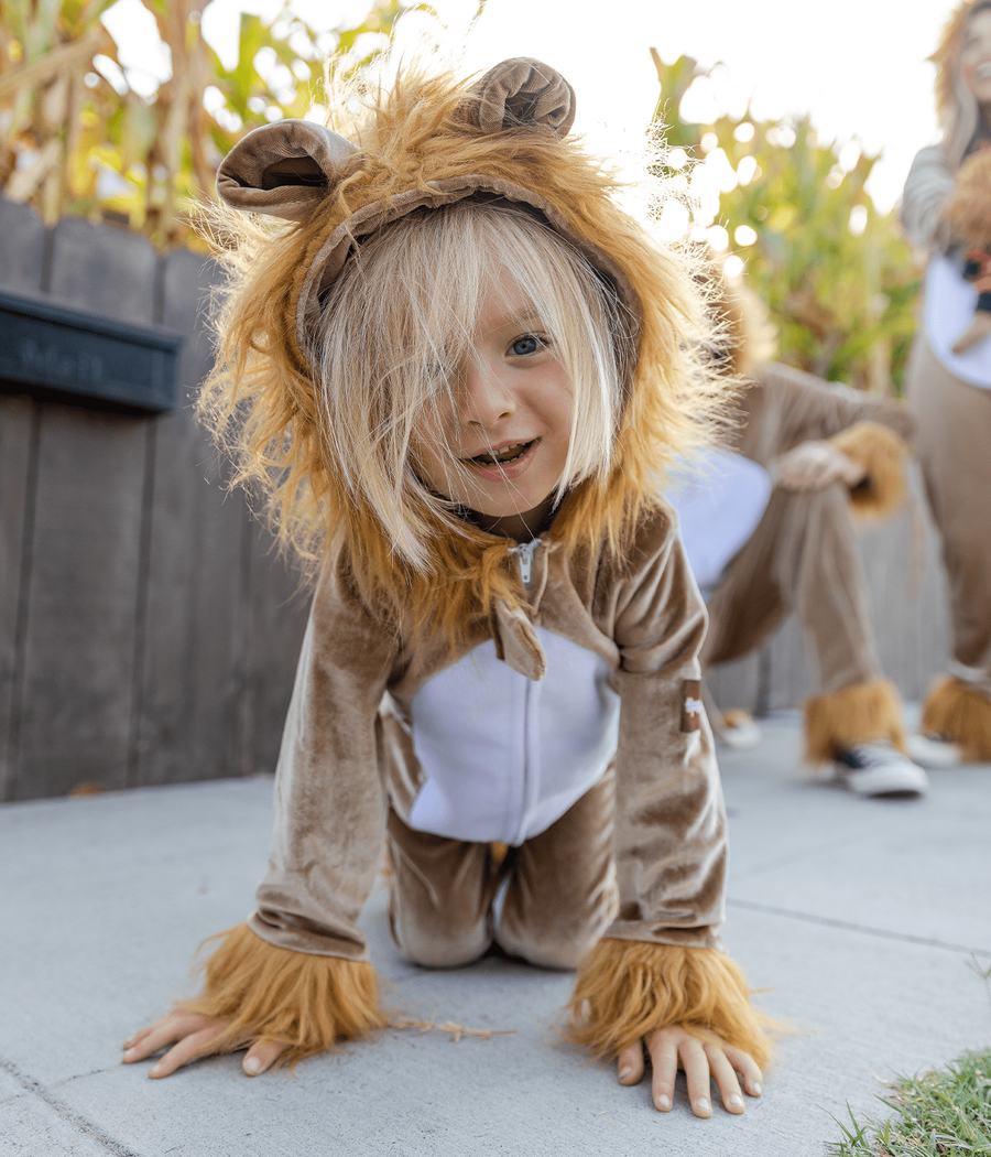Toddler lion costume